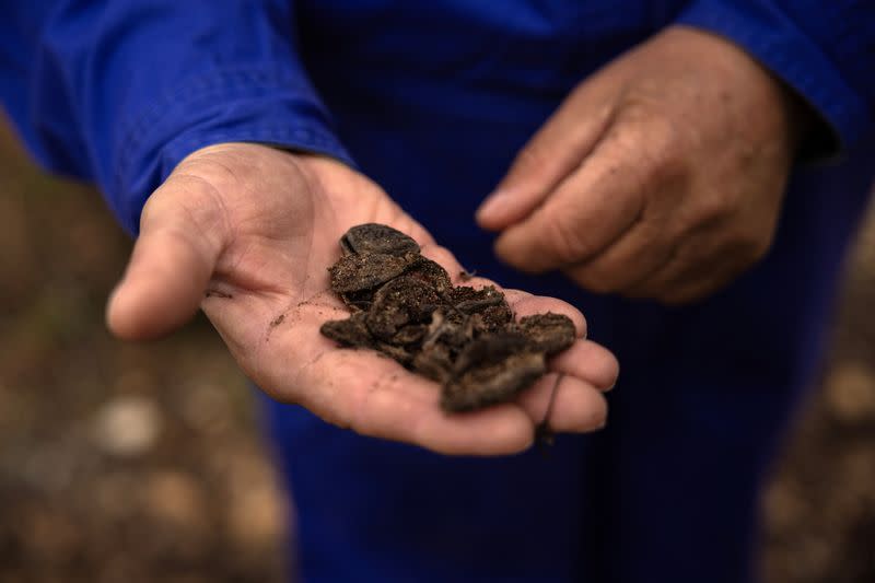 Flooded Greek lake a warning to European farmers battling climate change