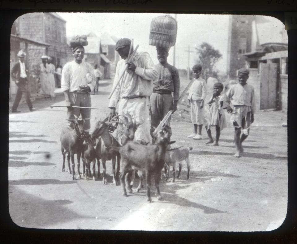 In this 1902 photo provided by York Museums Trust, residents stand alongside a herd of goats in Georgetown, St. Vincent, in the aftermath of explosive eruptions of La Soufrière volcano. In 1902, the warnings of the fish sellers who experienced the volcano up close , were at first dismissed. (Tempest Anderson/York Museums Trust via AP)