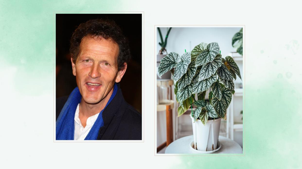  Composite of Monty Don and a houseplant lifestyle shot to support Monty Don's houseplant advice. 