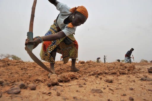 A Nigerien woman digs a trench intended to collect rainwater near the village of Tibiri in southwest Niger. The aim is to trap water and regenerate the terrain by planting acacia trees, in a project backed by the charity Oxfam and financed by the World Food Programme
