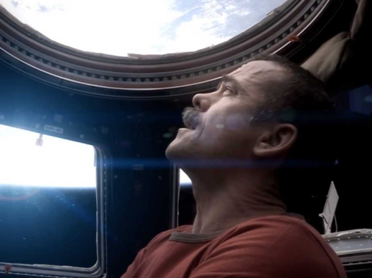 Chris Hadfield ISS copula