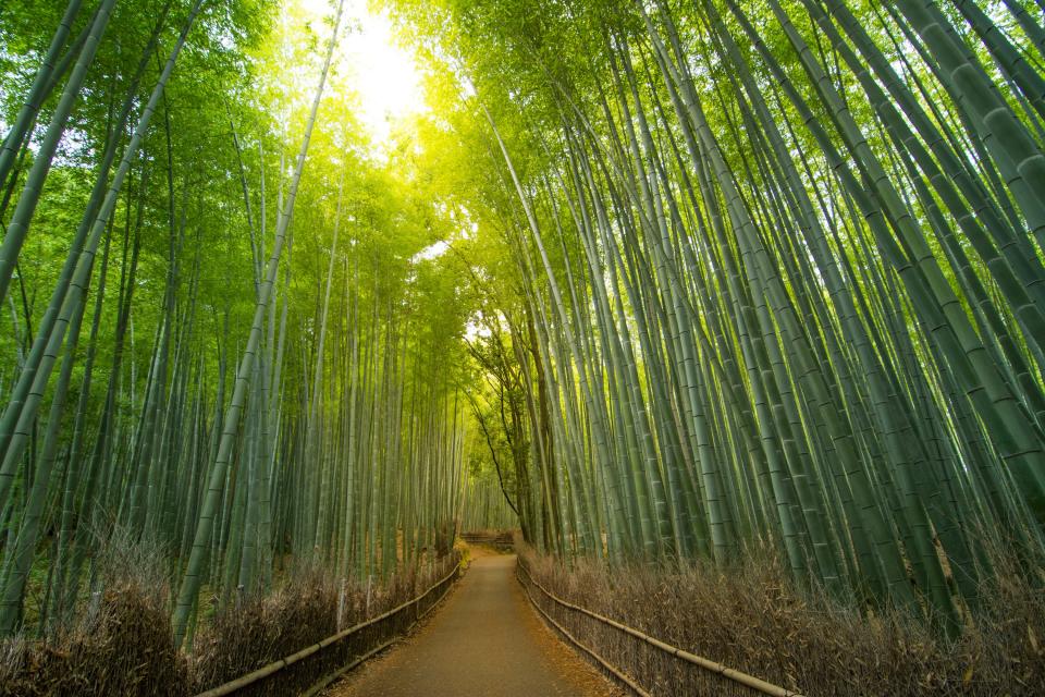 Kyoto, Japan