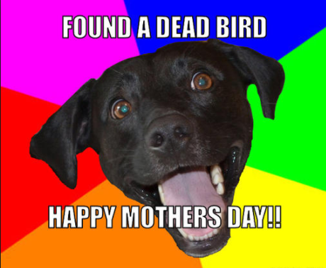 best mother&#039;s day memes