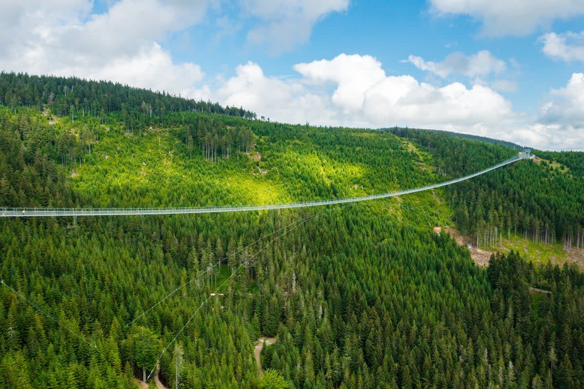 Sky Bridge 721 opened in May 2022 (Getty Images/iStockphoto)