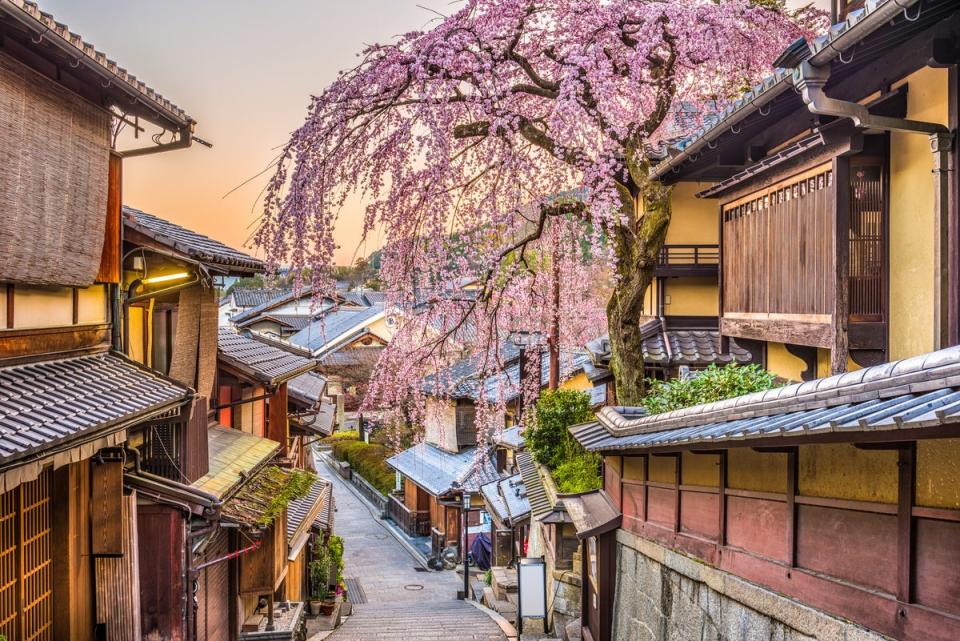 Cherry blossoms enchant Kyoto in the spring (Getty Images/iStockphoto)