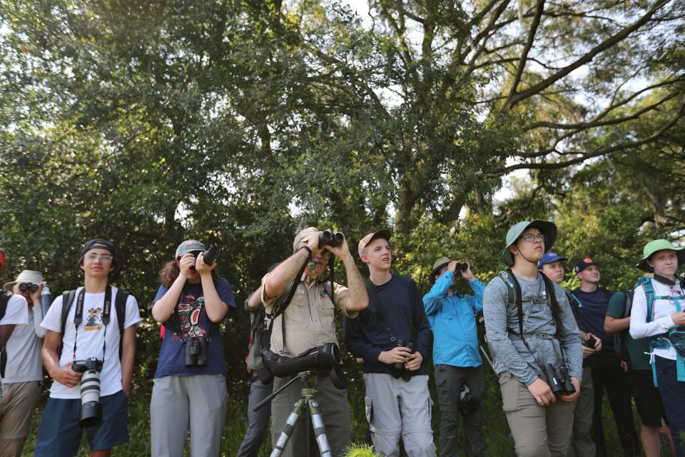 Bob Sargent, Georgia Department of Natural Resources, and the Camp TALON birders get a good look at nesting waterfowl in the trees at Harris Neck National Wildlife Refuge on Tuesday, June 6, 2023.