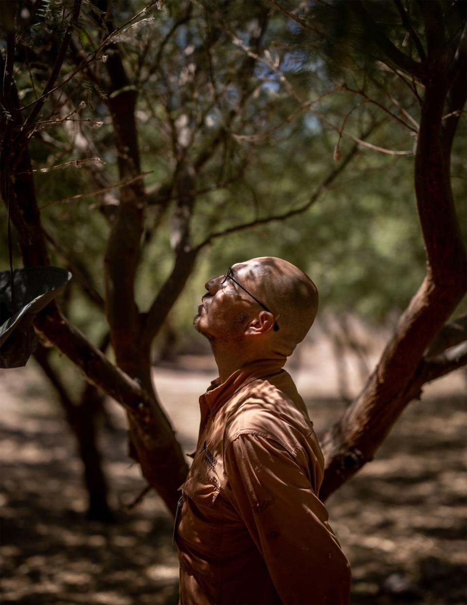 A coalition of nongovernmental organizations including The Nature Conservancy and the Sonoran Institute have put that water to use replanting native flora and trying to restore stretches of the river to its former glory. Tomás Enrique Rivas Salcedo, a restoration specialist for the Sonoran Institute, says that water returns have brought hope. “Nature is working,” he says. | Spenser Heaps, Deseret News