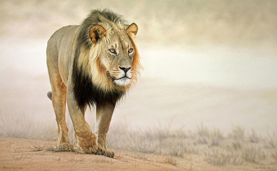 Hyperreal animal paintings