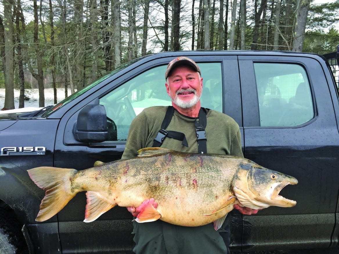 Thomas Knight, a fisherman in New Hampshire, broke a state record by reeling in a fish weighing 37 pounds.