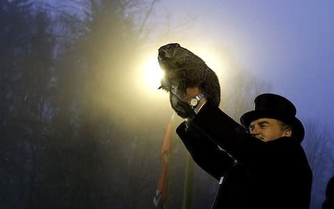 Groundhog handler John Griffiths holds Punxsutawney Phil aloft after he makes his prediction. - Credit: Getty Images