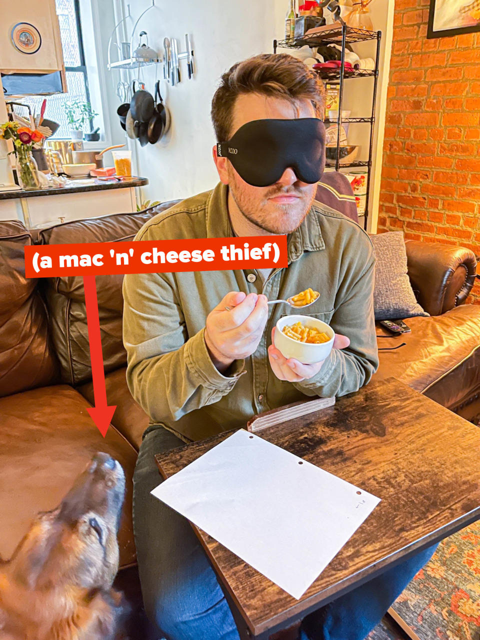 Arrow pointing to author's dog with text "a mac n cheese thief" while the author eats a bowl of mac 'n' cheese with a blindfold on