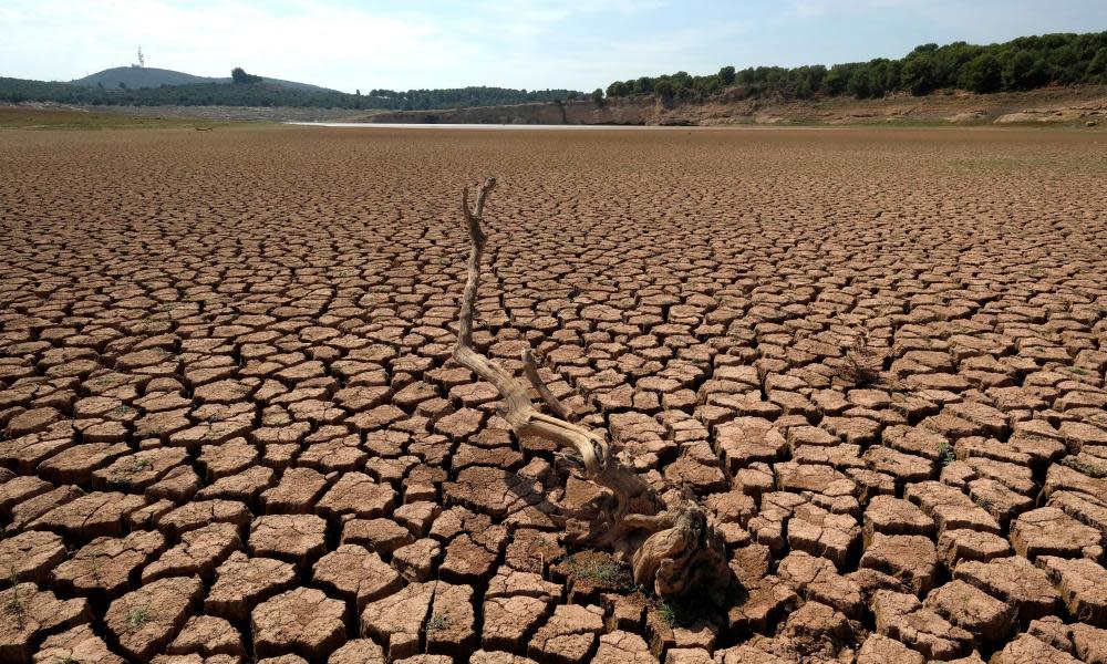 <span>Photograph: Heino Kalis/Reuters</span>