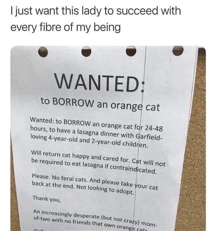 A mom posts a "Wanted" sign asking to borrow an orange cat for 24–48 hours to have a lasagna dinner with Garfield-loving 4-year-old and 2-year-old; "will return cat happy and cared for"