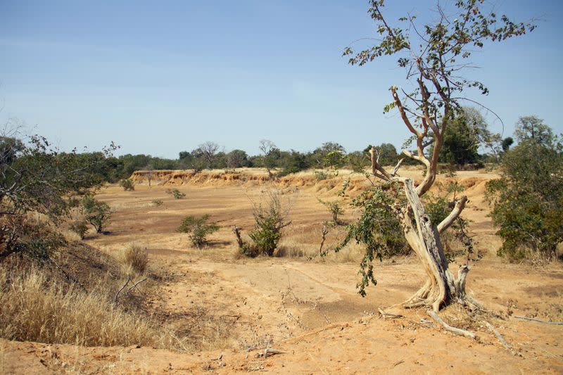 Parched land is pictured around the Lake Wegnia, in Sahel region of Koulikoro