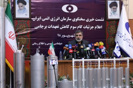 Atomic Energy Organization spokesman, Behrouz Kamalvandi, details Iran's latest nuclear moves at a Tehran press conference, assisted by mock-ups of the different uranium enrichment centrifuges at its disposal