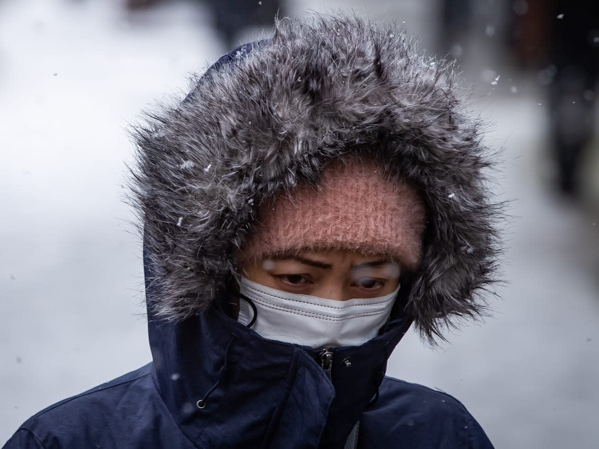 Bundle up, South Coasters — snow has arrived. (Darryl Dyck/The Canadian Press - image credit)