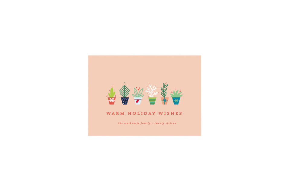 Succulents Holiday Card