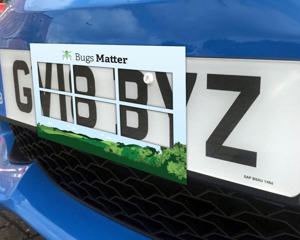 The &#39;splatometer&#39; used in the survey on a number plate (Buglife/PA)