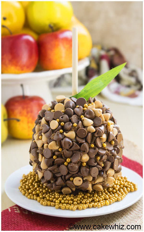 Chocolate Caramel Apples