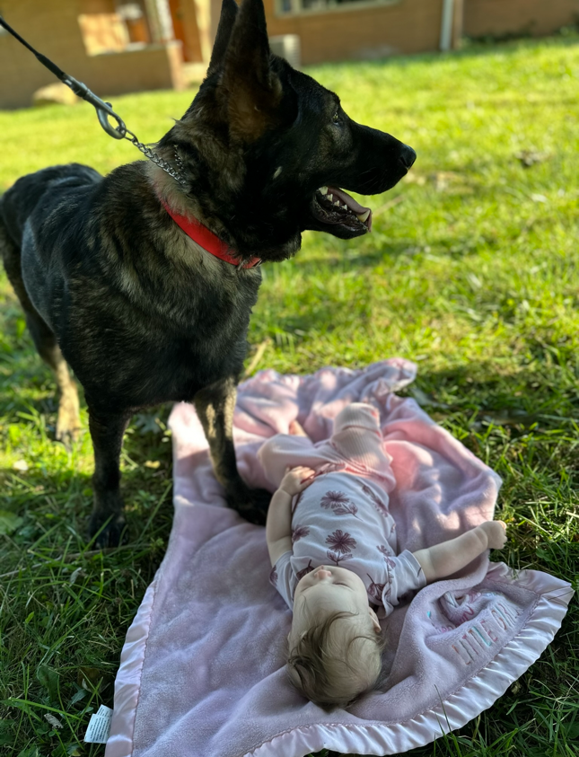 Vania, one of Sherman Holbrook's dogs, with his baby girl.