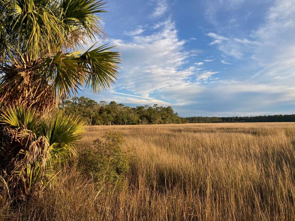 During the months of January and February, Fort McAllister offers opportunities to experience nature with very few people staying at the park.