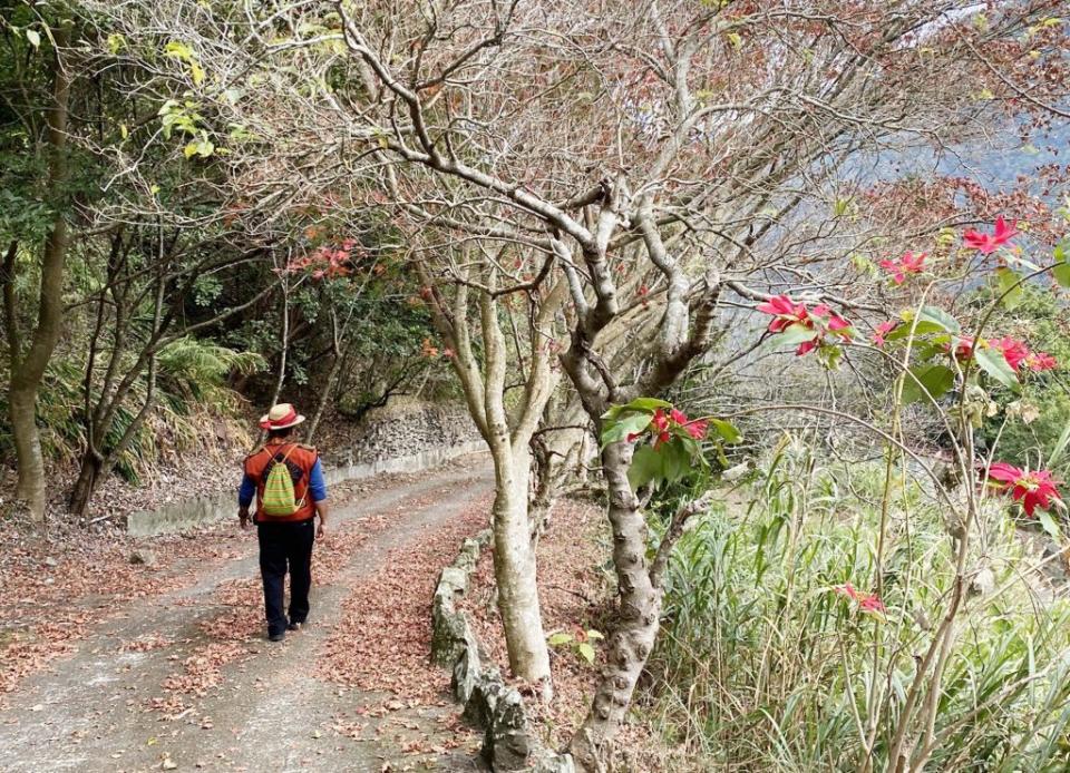春遊屏東霧台鄉，遊客可飽覽自然美景並窺探魯凱族文化。（記者毛莉攝）