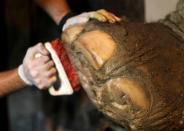 Veterinarian disinfects the foot of Asian elephant Mara in her enclosure at the former city zoo now known as Ecopark in Buenos Aires