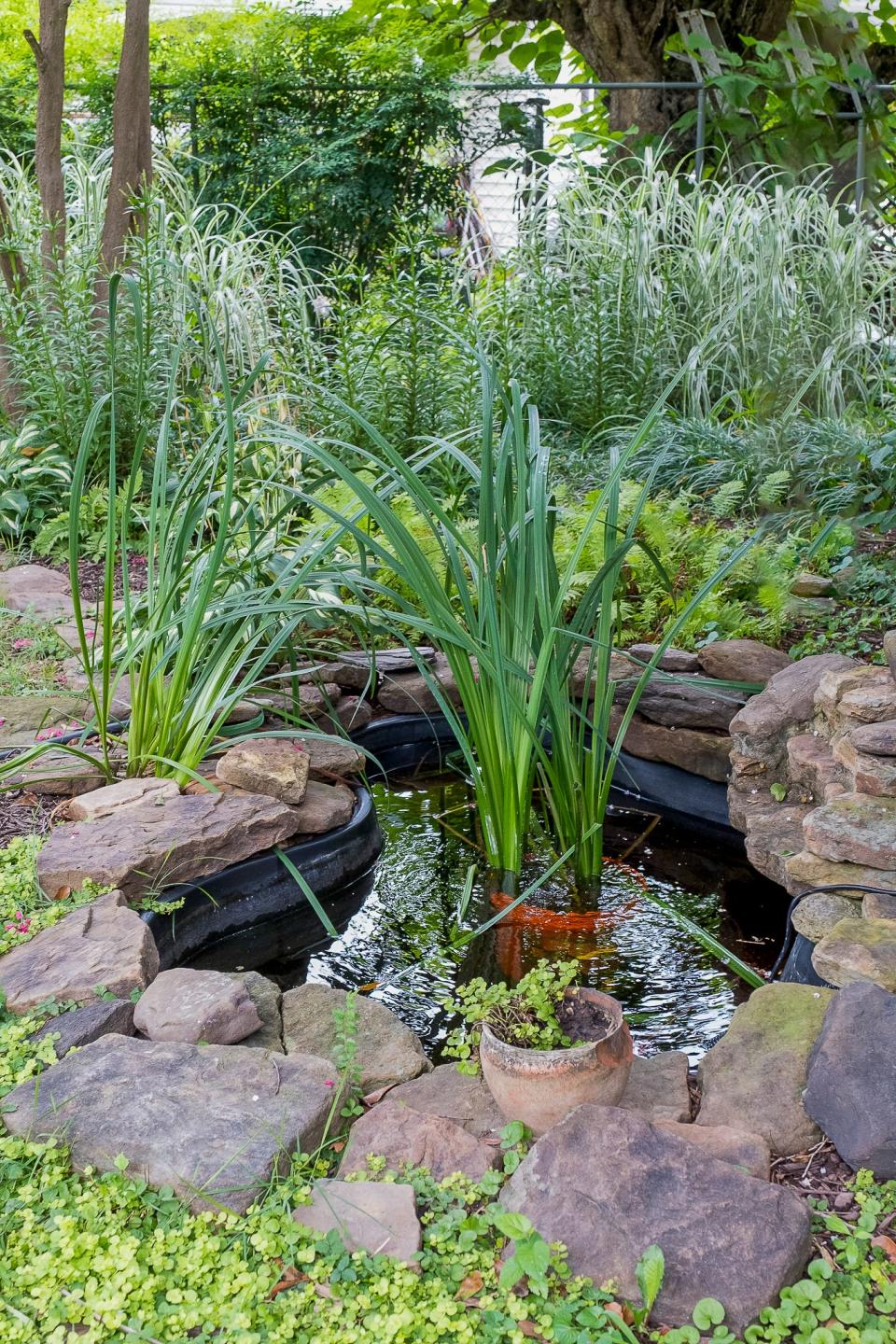 The backyard is lush with a lot of foliage and a water feature.