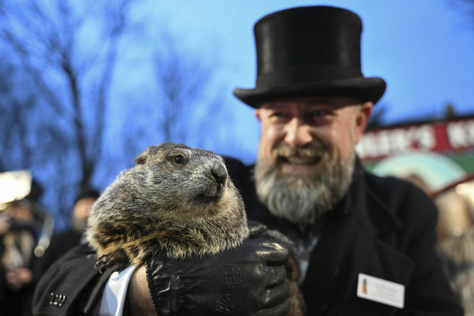 FILE - Groundhog Club handler A.J. Dereume holds Punxsutawney Phil, the weather prognosticating groundhog, during the 138th celebration of Groundhog Day on Gobbler's Knob in Punxsutawney, Pa., Friday, Feb. 2, 2024. The Punxsutawney Groundhog Club announced that Phil and his wife Phyllis, have become parents of two groundhog babies on Wednesday, March 27. Phil is credited by many with predicting whether an early spring is coming based on whether he sees his shadow on Feb. 2 each year. (AP Photo/Barry Reeger, File)