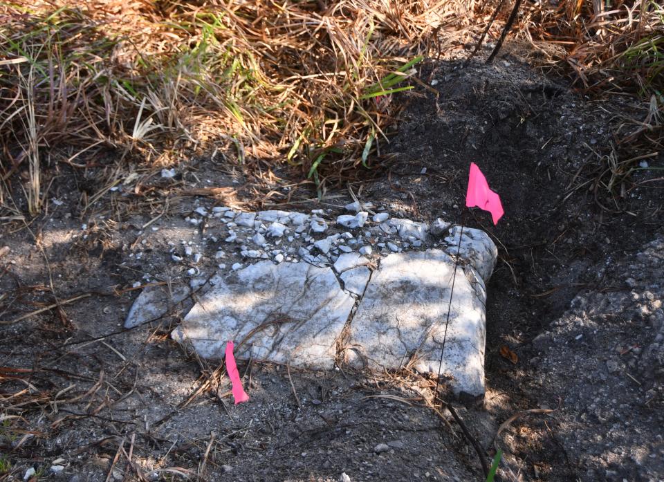 Marked with flags, archaeological students have located and uncovered what may be a concrete-filled burlap bag like those used to build revetments surrounding the Bumper blockhouse.