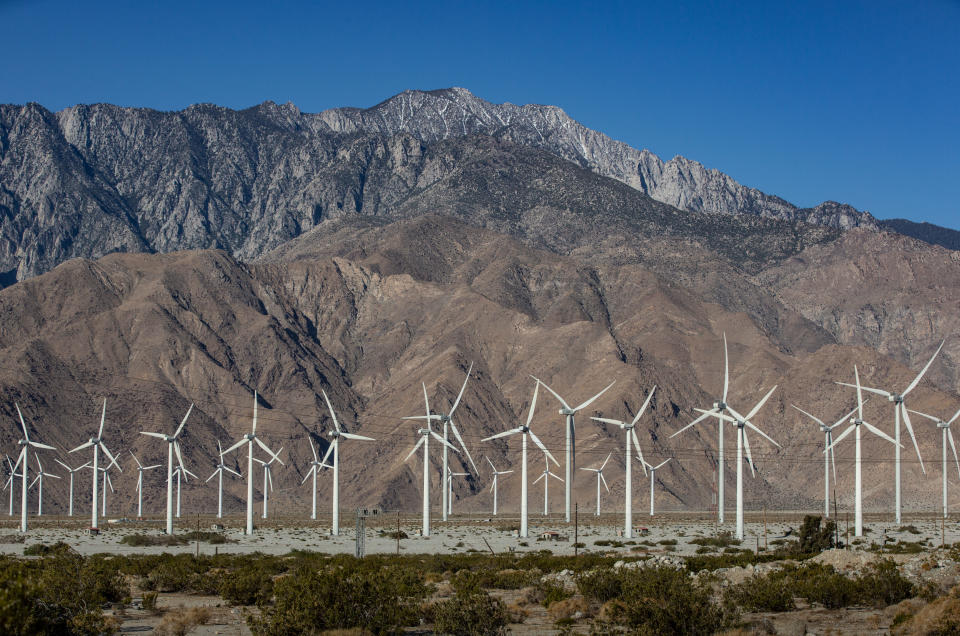 An array of electricity producing wind turbines near Palm Springs, Calif.