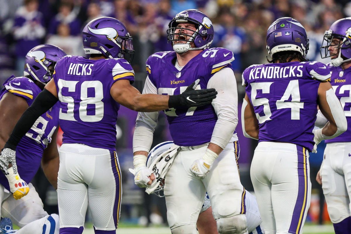 mn vikings whiteout game