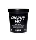 <p><strong>Lush</strong></p><p>lushusa.com</p><p><strong>$7.95</strong></p><p><a href="https://www.lushusa.com/body/body-lotions/charity-pot/9999905236.html" rel="nofollow noopener" target="_blank" data-ylk="slk:Shop Now;elm:context_link;itc:0;sec:content-canvas" class="link ">Shop Now</a></p><p>Lush's lotion will leave skin “subtly perfumed and touchably soft"— at least according to their <a href="https://www.lushusa.com/body/body-lotions/charity-pot/9999905236.html" rel="nofollow noopener" target="_blank" data-ylk="slk:website;elm:context_link;itc:0;sec:content-canvas" class="link ">website</a>. For every purchase, the brand donates to grassroots organizations for animal welfare, human rights, and environment conservation.</p>