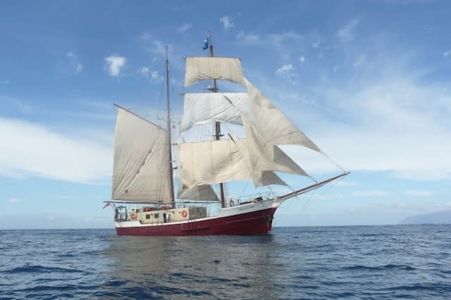 The brigantine at sea