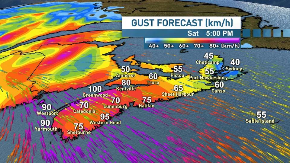 Wind gusts will likely lead to some power outages across the province, with travel disruptions and ferry delays possible.