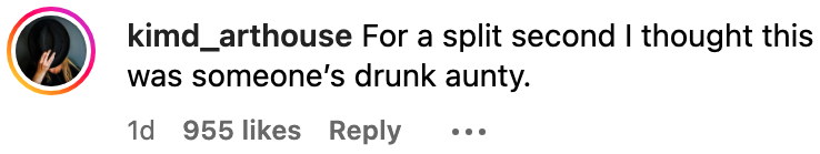 comment reads, for a split second i thought this was someone's drunk aunty