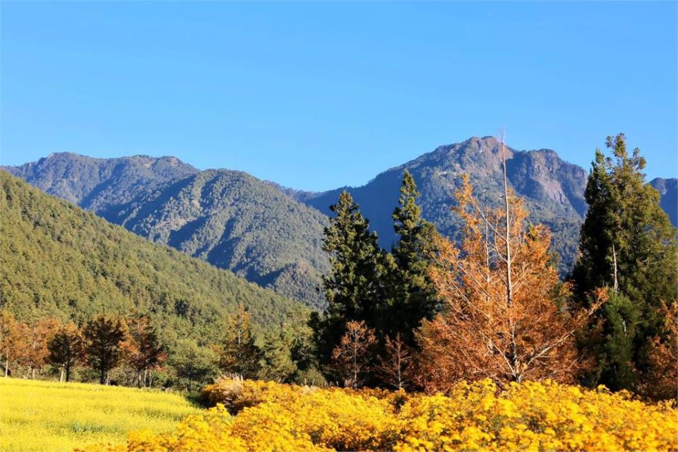 武陵農場坐擁美麗山水優質環境。（圖／武陵農場提供）