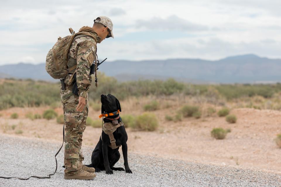 K-9 Blue prepares for U.S. Border Patrol Search Trauma and Rescue (BORSTAR) candidates' last field training course on Thursday, Aug. 18, 2022, at McGregor Training Area, Range 11 in Ft. Bliss, before graduating the following day.