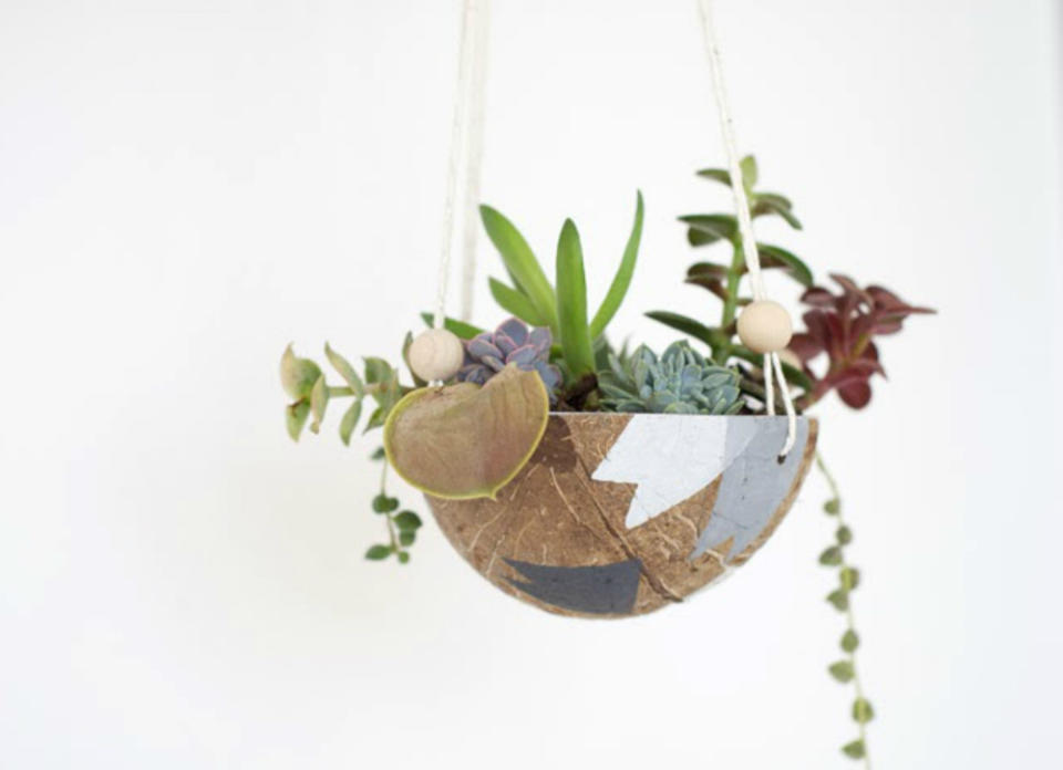 Buy or DIY: 7 Hanging Planters for the Great Indoors