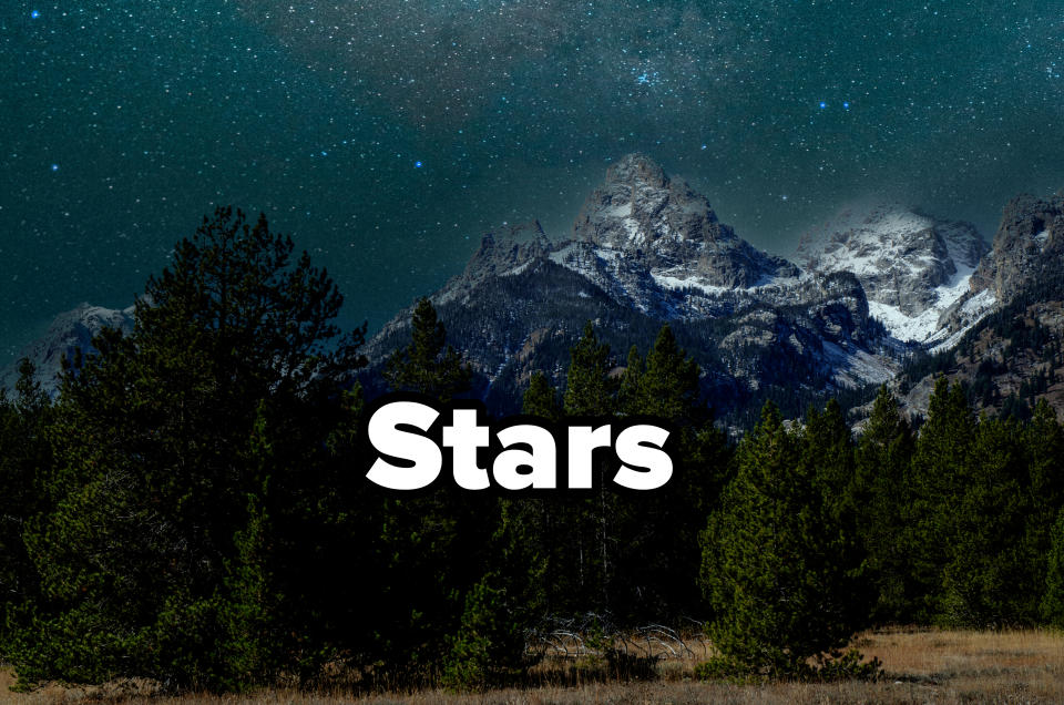 Starry night sky over a mountain range with snow-capped peaks and dense forested area in the foreground