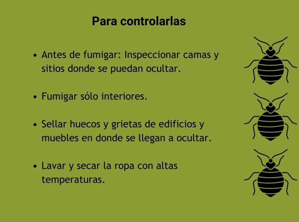 El Instituto de Ecología de la UNAM publicó estos consejos para controlar una posible plaga de chinches de cama. (Imagen: Twitter @IEcologinaUNAM)