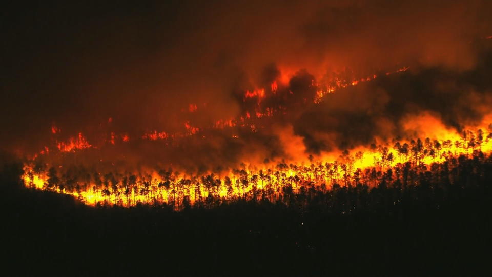 A massive wildfire had burned through almost 4,000 acres of land in New Jersey on Wednesday, April 12. / Credit: CBS News Philadelphia
