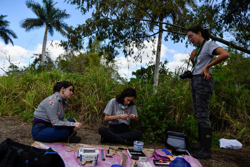 Cuban biologists unravel mysteries of bird migration