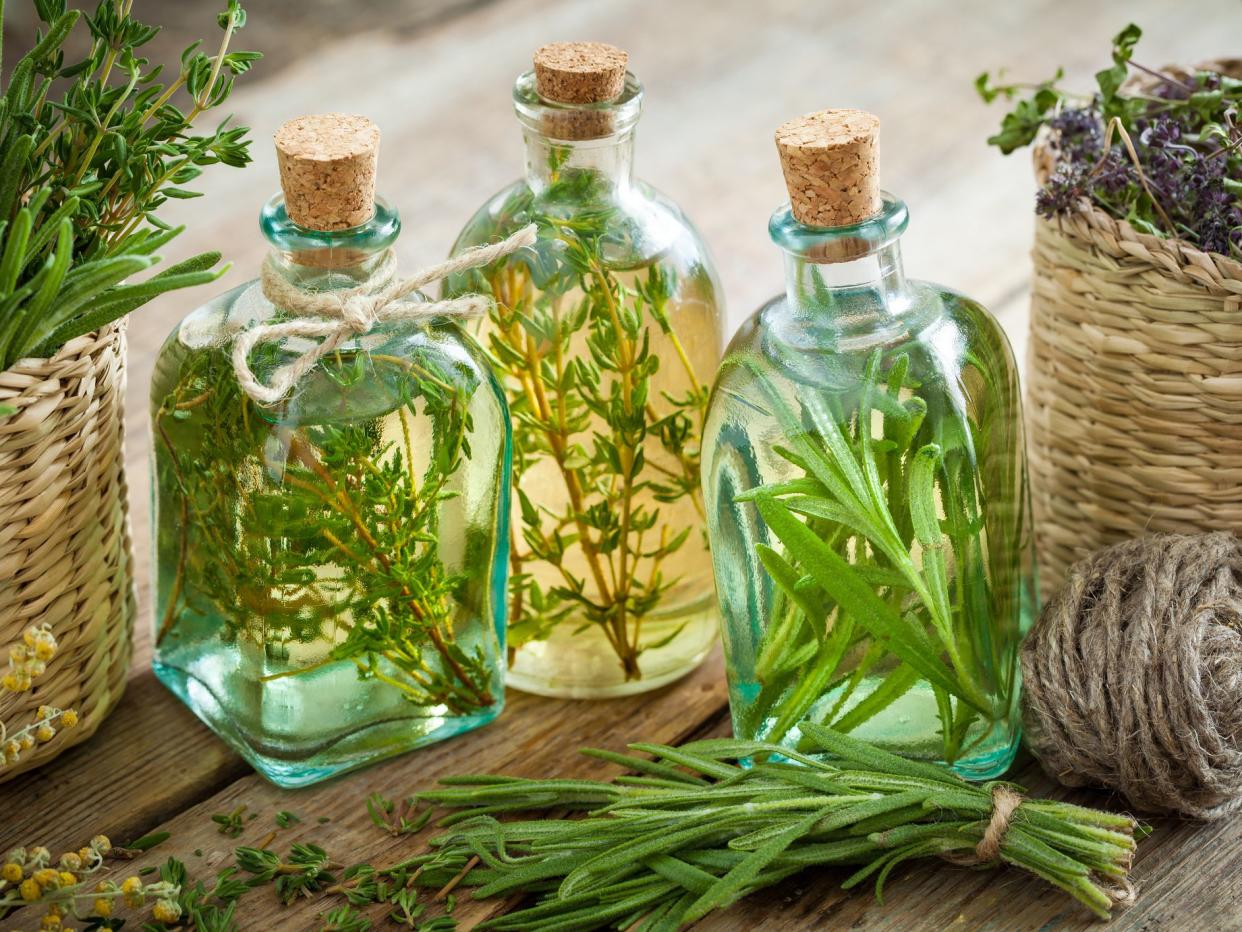 Bottles of thyme and rosemary essential oil or infusion, herbal medicine.