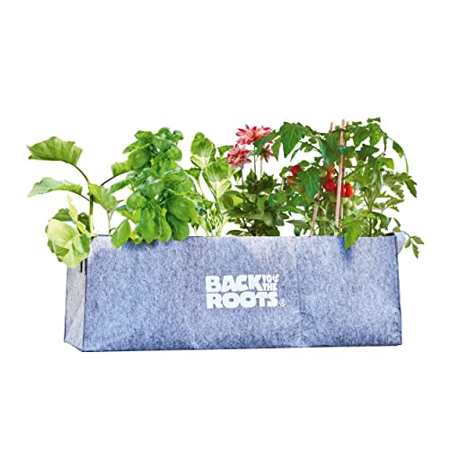Back to the Roots Fabric Raised Garden Bed (Amazon / Amazon)