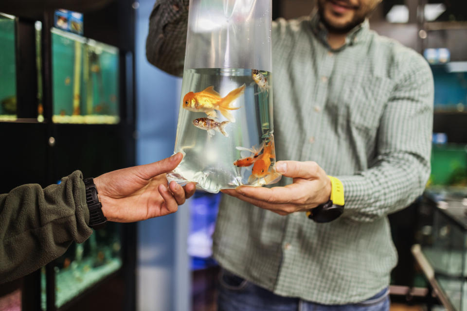 A man handing someone else fish in a bag