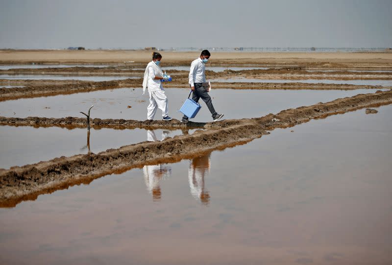 FILE PHOTO: Healthcare workers carrying a vaccine box walk through a salt pan to vaccinate the pan workers against the coronavirus disease in Surendranagar district