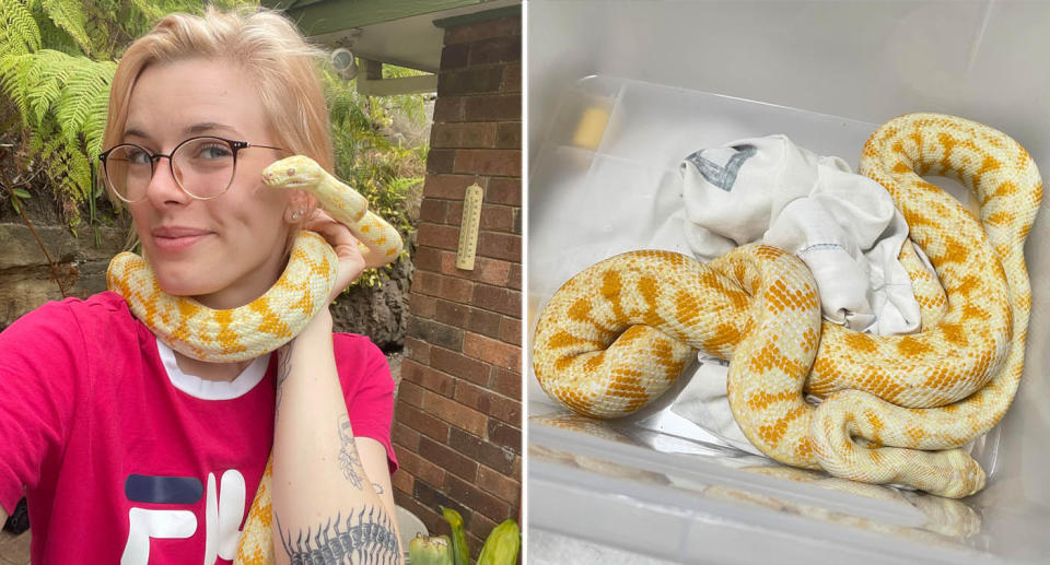 The 25-year-old Coogee local holds her pet snake Mango who has been missing for three weeks