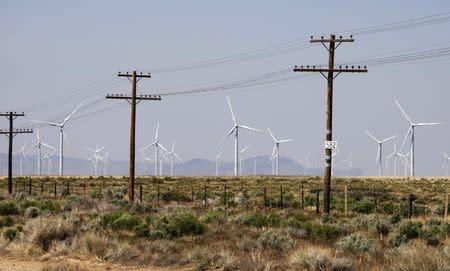 Power lines run by by wind turbines operating at a wind farm near Milford, Utah in this May 21, 2012 file photo. REUTERS/George Frey/Files
