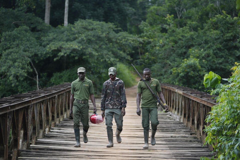 Sunday Abiodun, 40, right, a former poacher turned forest ranger, patrols the Omos Forest Reserve in Nigeria on Monday, July. 31, 2023. Omo Forest Reserve, a rainforest in Nigeria's southwest, faces threats from excessive logging, uncontrolled farming, and poaching. (AP Photo/Sunday Alamba)